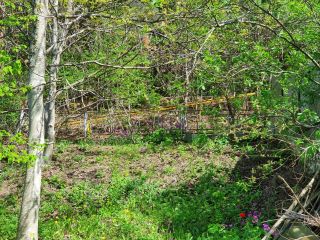 Продаю дачу в садовом некоммерческом товариществе земля в собственности фото 3 Кисловодск