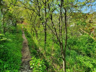 Продаю дачу в садовом некоммерческом товариществе земля в собственности фото 4 Кисловодск