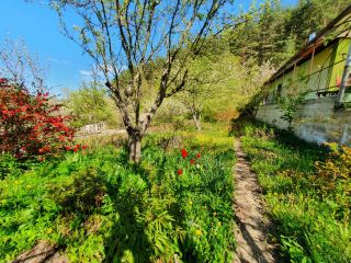 Продаю дачу в садовом некоммерческом товариществе земля в собственности фото 6 Кисловодск