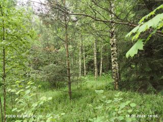 Продаю зем участок под индивидуальное жилищное строительство фото 4 Кимры