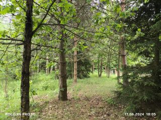 Продаю зем участок под индивидуальное жилищное строительство фото 8 Кимры