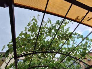 Продаю монолитный дом требуется капитальный ремонт с плодоносящим садом есть документы фото 26 Сочи