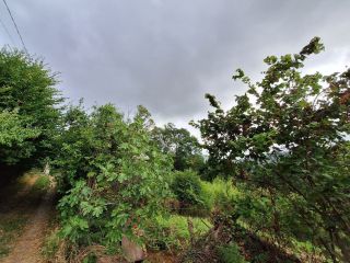 Продаю зем участок с коммуникациями фото Сочи