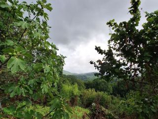 Продаю зем участок с коммуникациями фото 3 Сочи