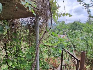 Продаю зем участок с коммуникациями фото 4 Сочи