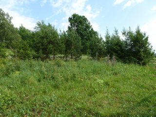 Продаю деревянный дом косметический ремонт под личное подсобное хозяйство с мебелью фото 18 ЧЕМАЕВО