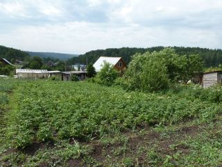 Продаю деревянный дом косметический ремонт под личное подсобное хозяйство с мебелью фото 20 ЧЕМАЕВО