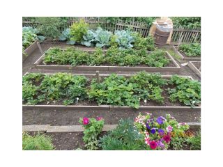 Сдается деревянный дом косметический ремонт имеется скважина документы в полном порядке фото 15 Полысаево