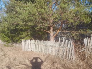 Продаю деревянный дом требуется косметический ремонт под личное подсобное хозяйство имеется баня фото 2 Вологда