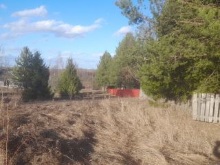 Продаю деревянный дом требуется косметический ремонт под личное подсобное хозяйство имеется баня фото 4 Вологда