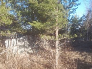 Продаю деревянный дом требуется косметический ремонт под личное подсобное хозяйство имеется баня фото 7 Вологда