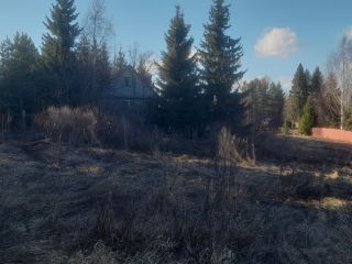 Продаю деревянный дом требуется косметический ремонт под личное подсобное хозяйство имеется баня фото 18 Вологда