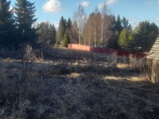 Продаю деревянный дом требуется косметический ремонт под личное подсобное хозяйство имеется баня фото 20 Вологда