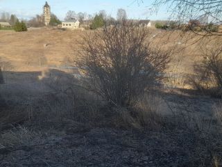 Продаю деревянный дом требуется косметический ремонт под личное подсобное хозяйство имеется баня фото 22 Вологда