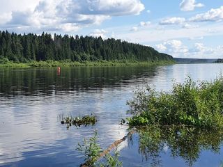 Продаю зем участок под личное подсобное хозяйство фото Тотьма