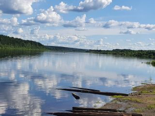 Продаю зем участок под личное подсобное хозяйство фото 2 Тотьма