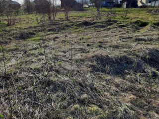 Продаю зем участок под личное подсобное хозяйство фото 6 Тотьма