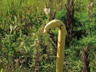 Продаю участок земли с коммуникациями фото Лобня