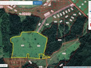 Продаю зем участок асфальтная дорога в садовом некоммерческом товариществе фото 6 Д. Горки, Лопухинское сельское поселение