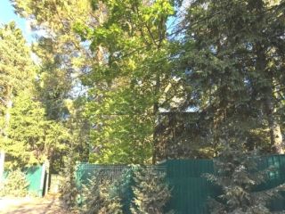 Продается участок земли имеется скважина под индивидуальное жилищное строительство фото 2 Пушкино