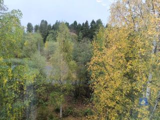 Продается двухкомнатная квартира с коммуникациями установлены натяжные потолки фото 17 Петрозаводск