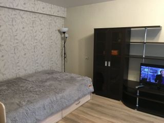 Сдаю 1 комнатную квартиру на длительный срок фото 5 Сузун