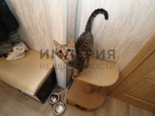 Продается 2 комнатная квартира документы на руках установлены натяжные потолки фото 10 Магадан