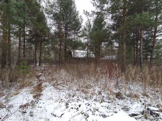 Продаю участок земли имеется скважина в садовом некоммерческом товариществе фото Шатура