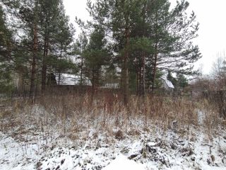 Продаю участок земли имеется скважина в садовом некоммерческом товариществе фото 2 Шатура