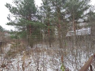 Продаю участок земли имеется скважина в садовом некоммерческом товариществе фото 5 Шатура