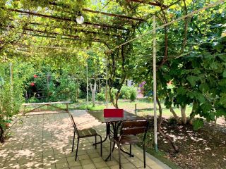 Продам блочный дом косметический ремонт с плодоносящим садом фото 10 Джубга