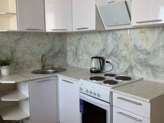 Сдам однокомнатную квартиру есть документы на длительный срок фото Вольгинский