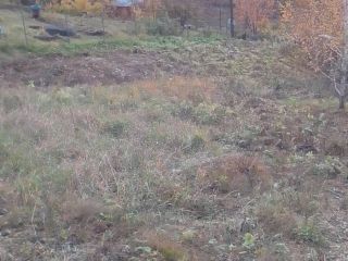 Продам зем участок электричество подведено в садовом некоммерческом товариществе фото Красноярский край