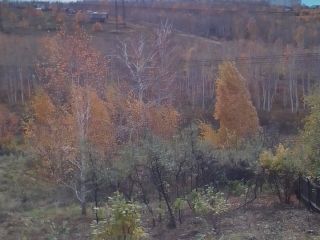 Продам зем участок электричество подведено в садовом некоммерческом товариществе фото 2 Красноярский край