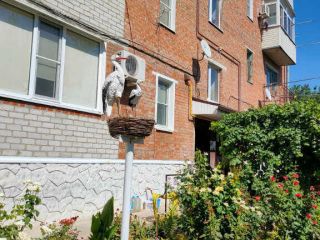 Продаю трехкомнатную квартиру фото 13 Семикаракорск город