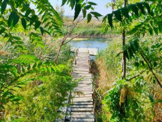 Продам кирпичный дом имеются хозяйственные постройки фото 22 Стоянов хутор