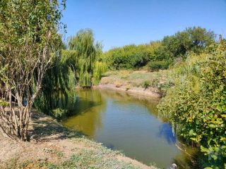 Продам кирпичный дом имеются хозяйственные постройки фото 23 Стоянов хутор