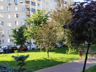 Продается 1 комнатная квартира косметический ремонт чистый подъезд фото 34 Бутово