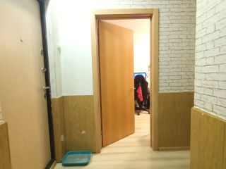 Продам однокомнатную квартиру косметический ремонт взрослый собственник фото 10 Копейск