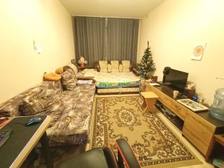 Продам однокомнатную квартиру косметический ремонт взрослый собственник фото 14 Копейск