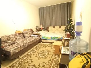 Продам однокомнатную квартиру косметический ремонт взрослый собственник фото 15 Копейск