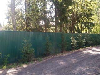 Продаю деревянный дом подключена канализация своя скважина фото 7 Пушкино