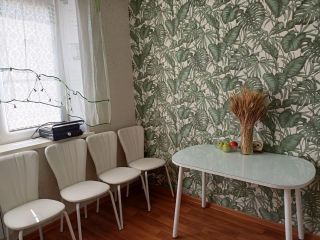 Продам 1 комнатную квартиру взрослый собственник фото 14 Копейск