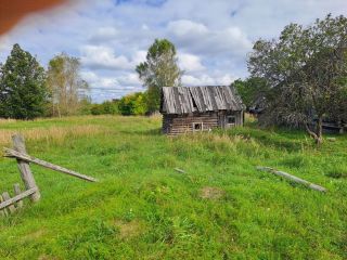 Продаю зем участок есть баня имеются хозяйственные постройки фото 3 Поселок Речной