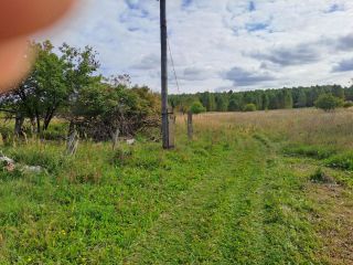 Продаю зем участок есть баня имеются хозяйственные постройки фото 4 Поселок Речной