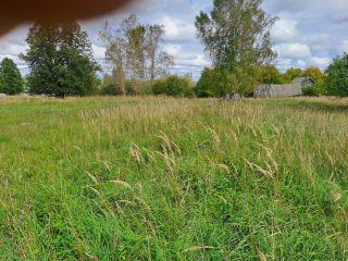 Продаю зем участок есть баня имеются хозяйственные постройки фото 5 Поселок Речной