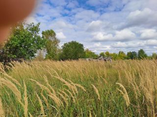 Продаю зем участок есть баня имеются хозяйственные постройки фото 6 Поселок Речной