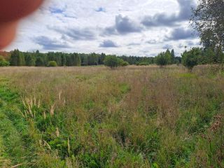 Продаю зем участок есть баня имеются хозяйственные постройки фото 7 Поселок Речной