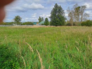 Продаю зем участок есть баня имеются хозяйственные постройки фото 8 Поселок Речной