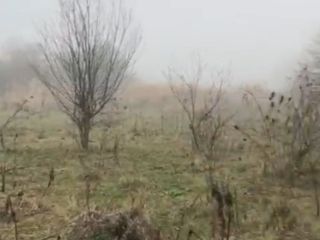 Продам зем участок асфальтная дорога фото Пятигорский